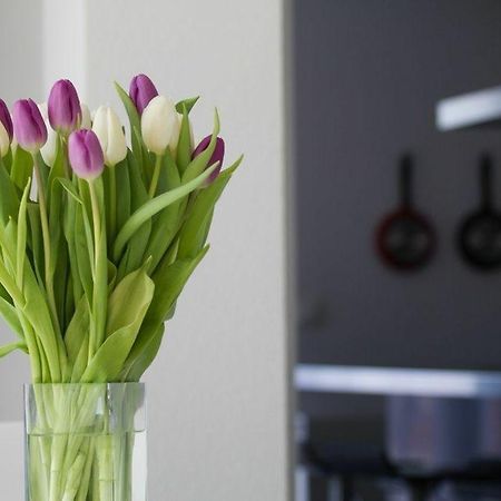 Apartments Terra Petrosa Трогир Екстериор снимка