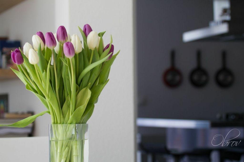Apartments Terra Petrosa Трогир Екстериор снимка