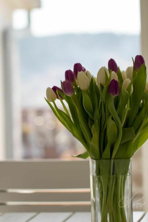 Apartments Terra Petrosa Трогир Екстериор снимка